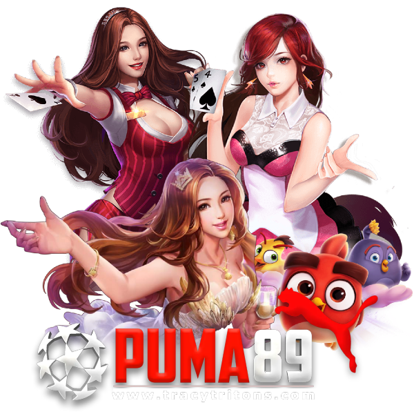 puma 89